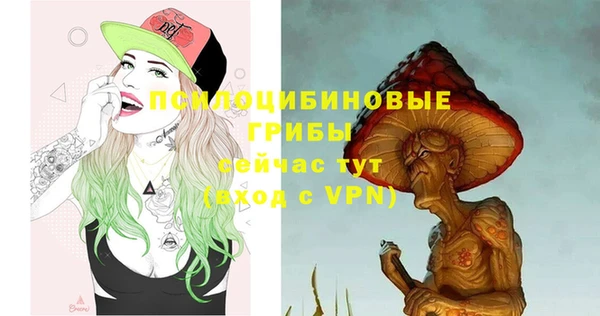 mdpv Володарск