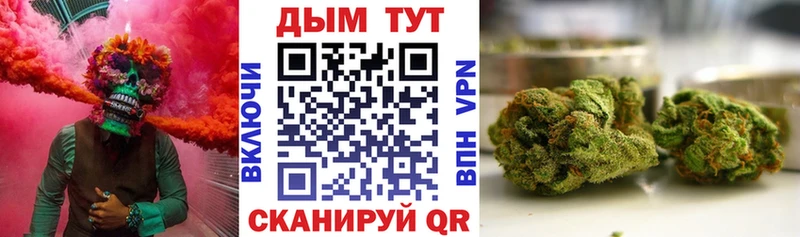 Бошки Шишки Amnesia  Очёр 